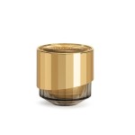 Regenerierende Creme ARTISTRY SUPREME LX™