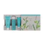 Reiseset „Beauty on-the-go Renewing“ Artistry Skin Nutrition™